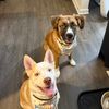 oakland.and.daisy