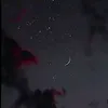 соня 🐱 Cat КЛËПА