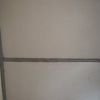user1561138001665