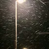 viet.tran818