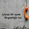 zynp_772