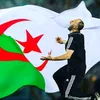 yahia.faird