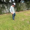 brayfrm706
