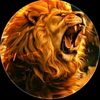 brahimzamit271gmail.com