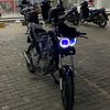 tiger_nkate