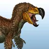 dodo.rex914
