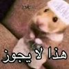 emran.albasry