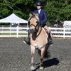 mack_equine.34