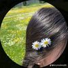 user3384742372534