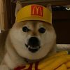 ryderthegoat09