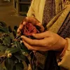 .zahra3071