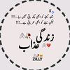 mohsinraza.1215