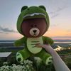 bearisx