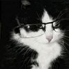fathiya_106