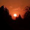 habiba_tasamem