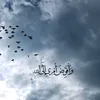 roinhgjdy8s