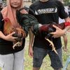 ar_qhaisar