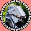 ﷽⍣⃝🌼হেদায়েতের নূর﷽⍣⋆⃝🕊