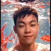 anh_qui_so_dien_ne