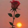 saher.pitras