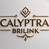 Calyptra BRILINK