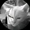 fluffy_pancakes8