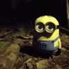 jarmaraconnors0