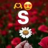 user6037930865596