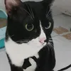 ngcmnhtrntn