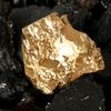 Black gold