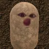 dgais1tg_1
