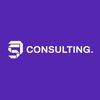 ds.consulting