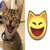 vadim_loshara