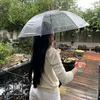 kimngazn05