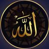hidayatkiawaz493