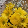 ladies_991