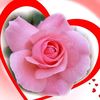 user2804297985983