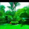 user58187128134795