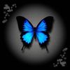 imluush