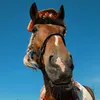 horses.in.russian