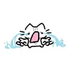 nhoem_roii