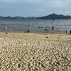 caconcrypto15