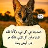 user28546248861694