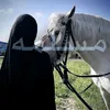 ghaimh5