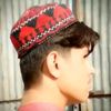 farooq.ashna36