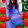 mitho.lashari27