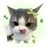 siwona_rana_magar