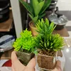 titagreenchoices