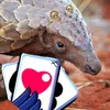 tartatattata