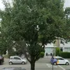 slsl_00